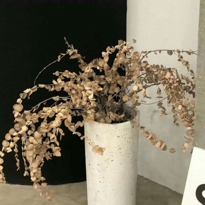 洪江FurryQQ群介绍